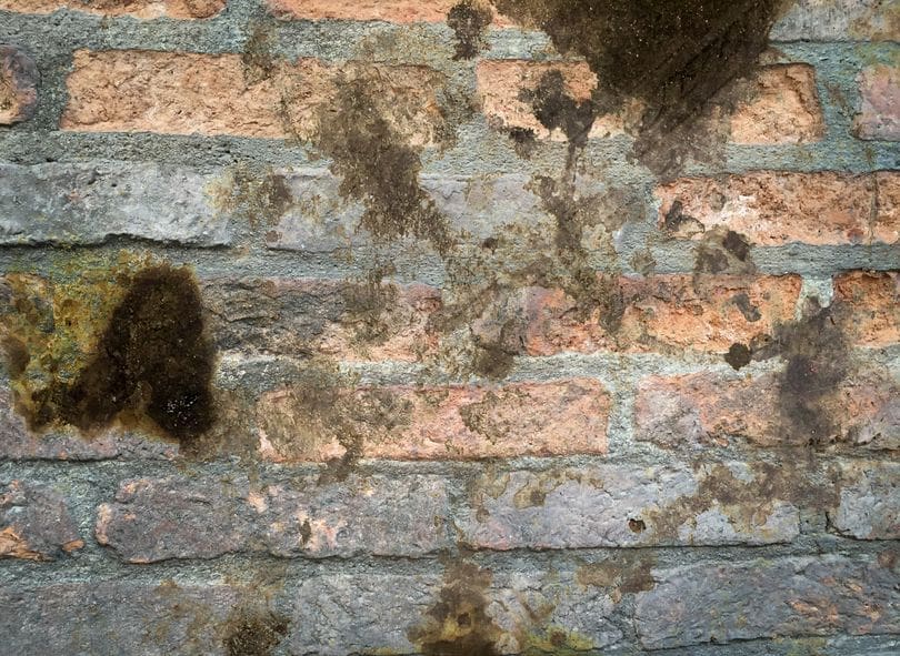 leaky-bricks