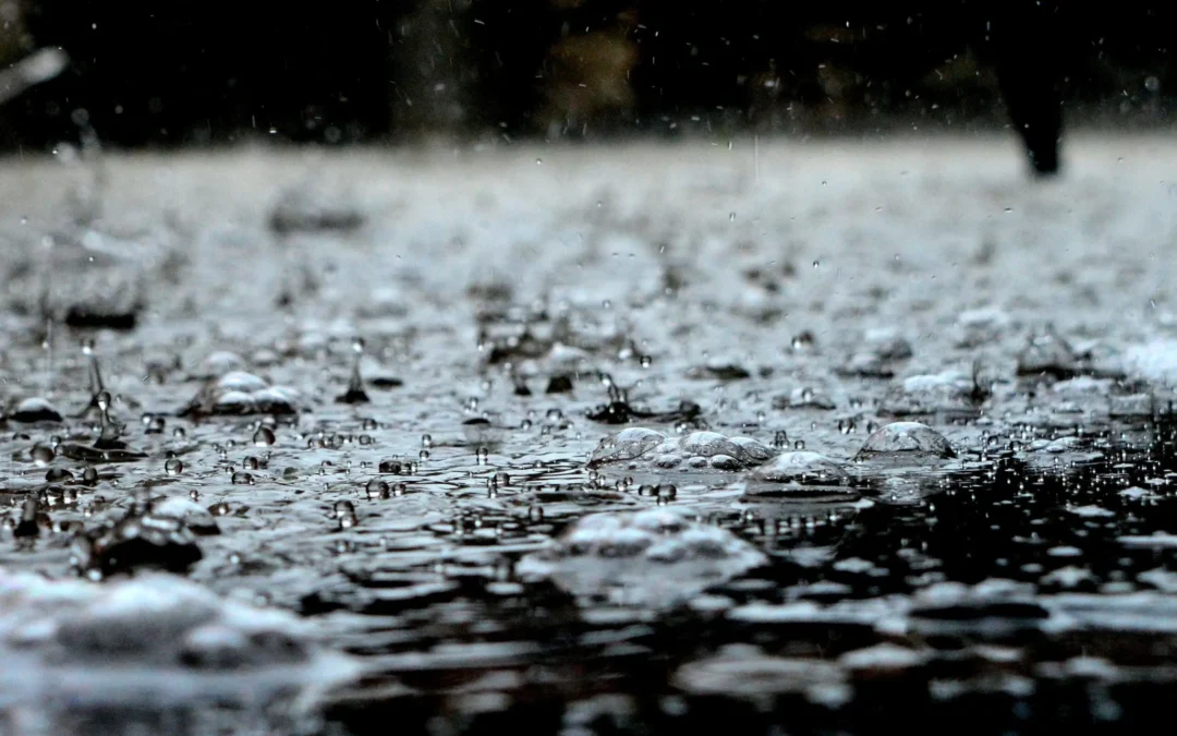 Spring Rains Coming: Expert Tips to Prevent Leaks & Damage