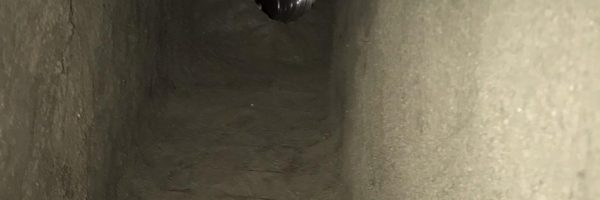 Flue Liner Flue Liner